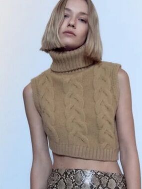 Zara Camel Cable Knit Turtleneck
Asymmetrical Sweater